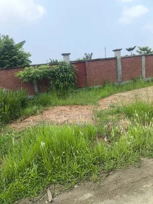 Sector: 10, Lake Drive Road, 5 Katha Plot, Urgent Sale, Purbachal.