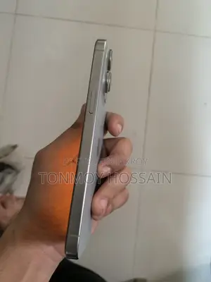 Apple iPhone 15 Pro Max 256 GB Silver