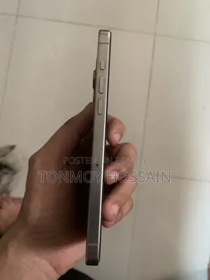 Apple iPhone 15 Pro Max 256 GB Silver