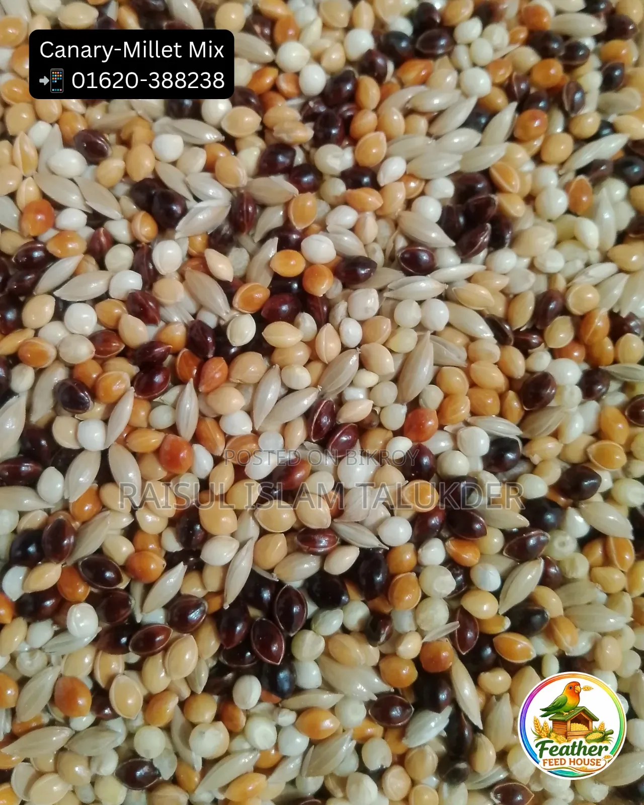 Millet-Canary Mix
