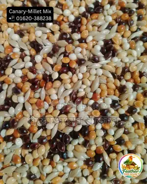 মিলেট-ক্যানারি মিক্স