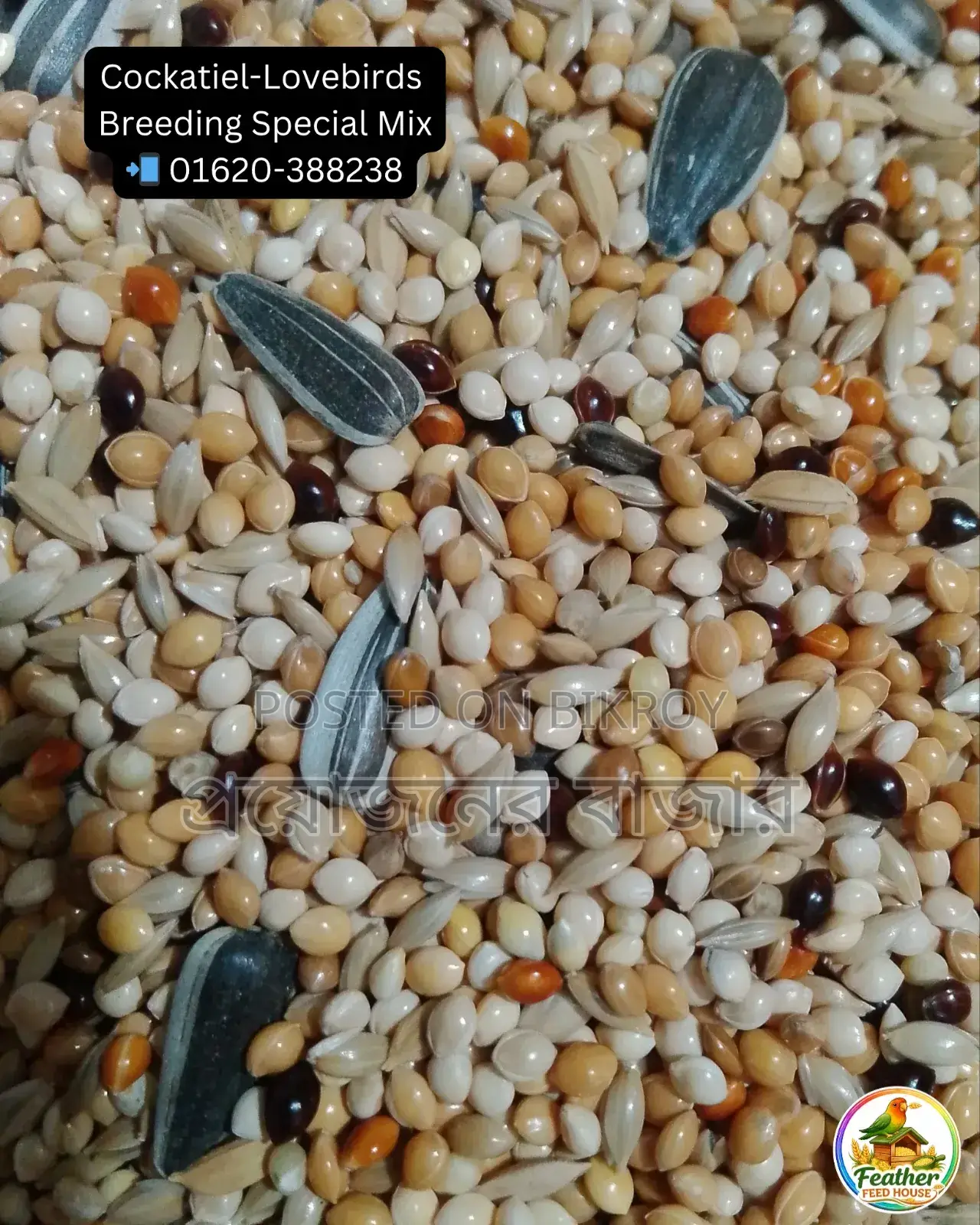 Millet-Canary Mix