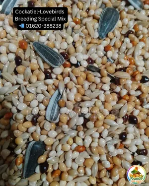Millet-Canary Mix