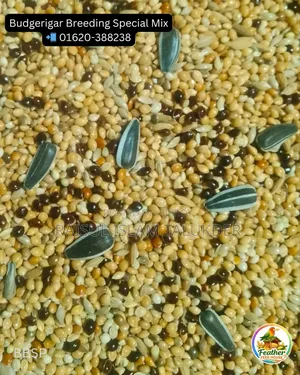 Millet-Canary Mix
