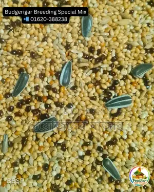 Millet-Canary Mix