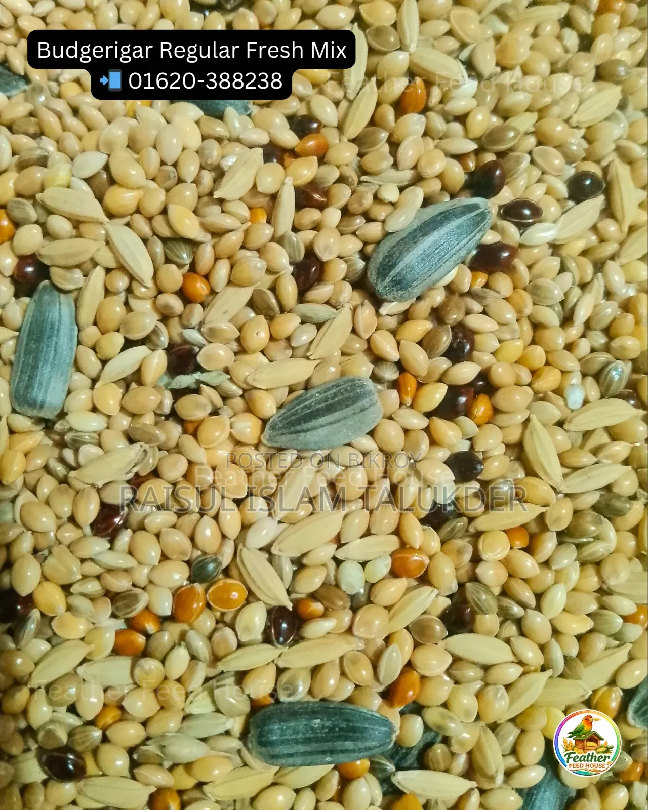 Millet-Canary Mix