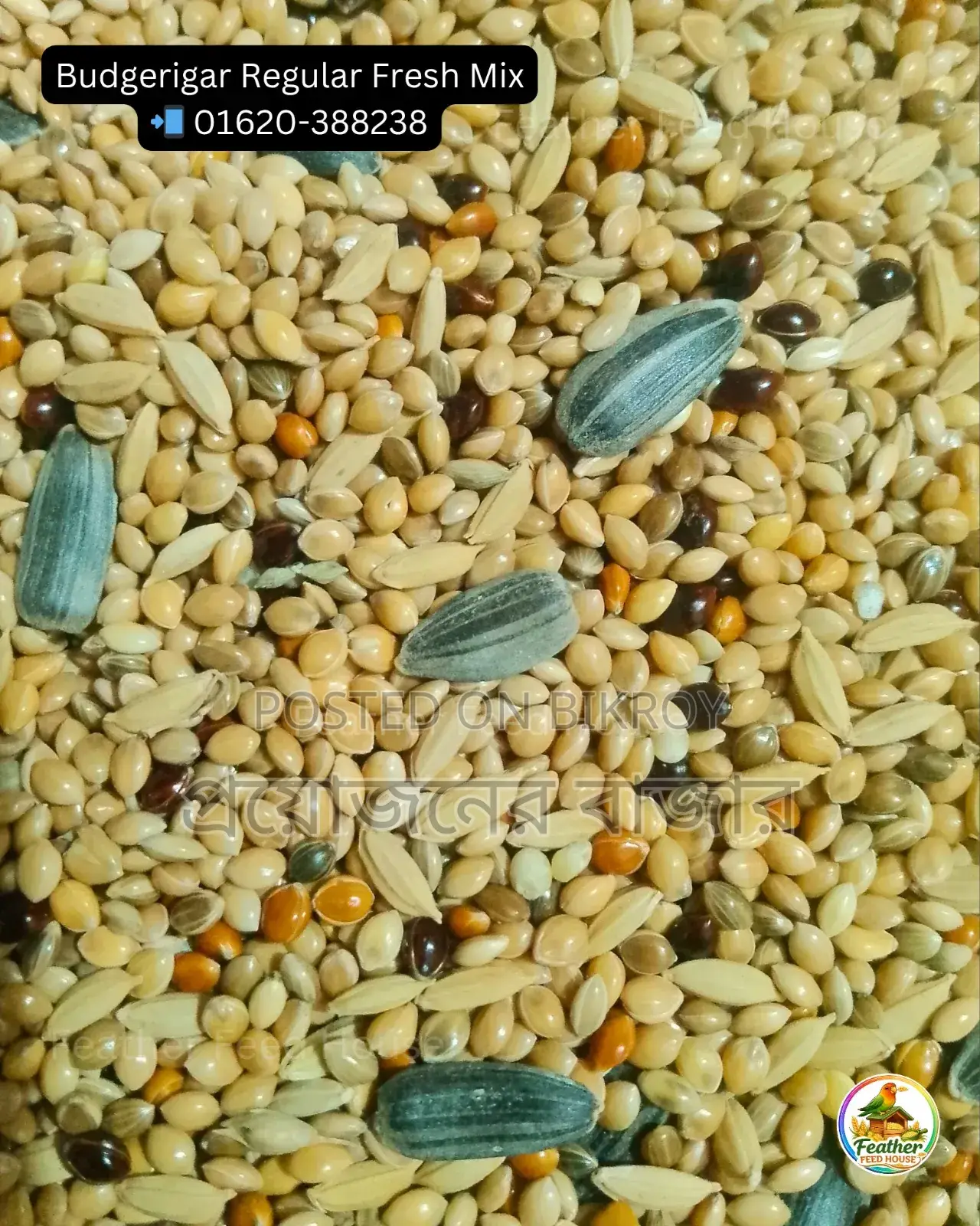 Millet-Canary Mix