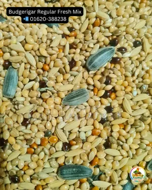 Millet-Canary Mix
