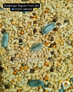 Millet-Canary Mix