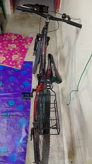 Prince Cycle