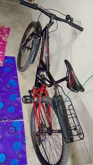 Prince Cycle
