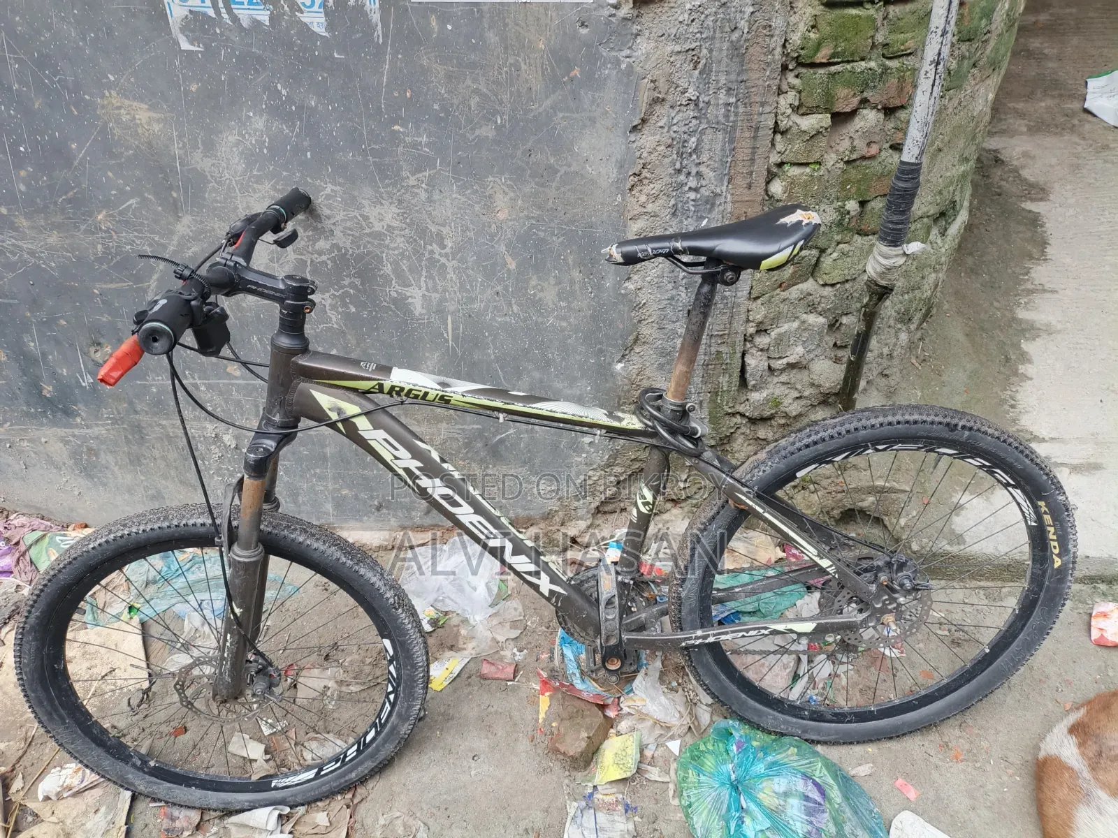 Phoenix Cycle