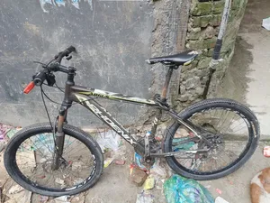 Phoenix Cycle