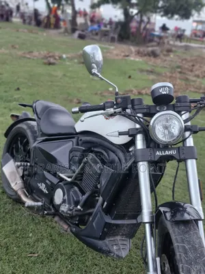 Regal Raptor Pilder 250 2021 White