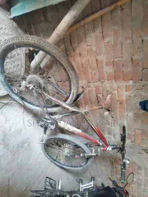 Bicycle for sale