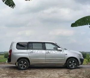 Toyota Probox 1.3 DX Comfort 2WD 2004 Silver