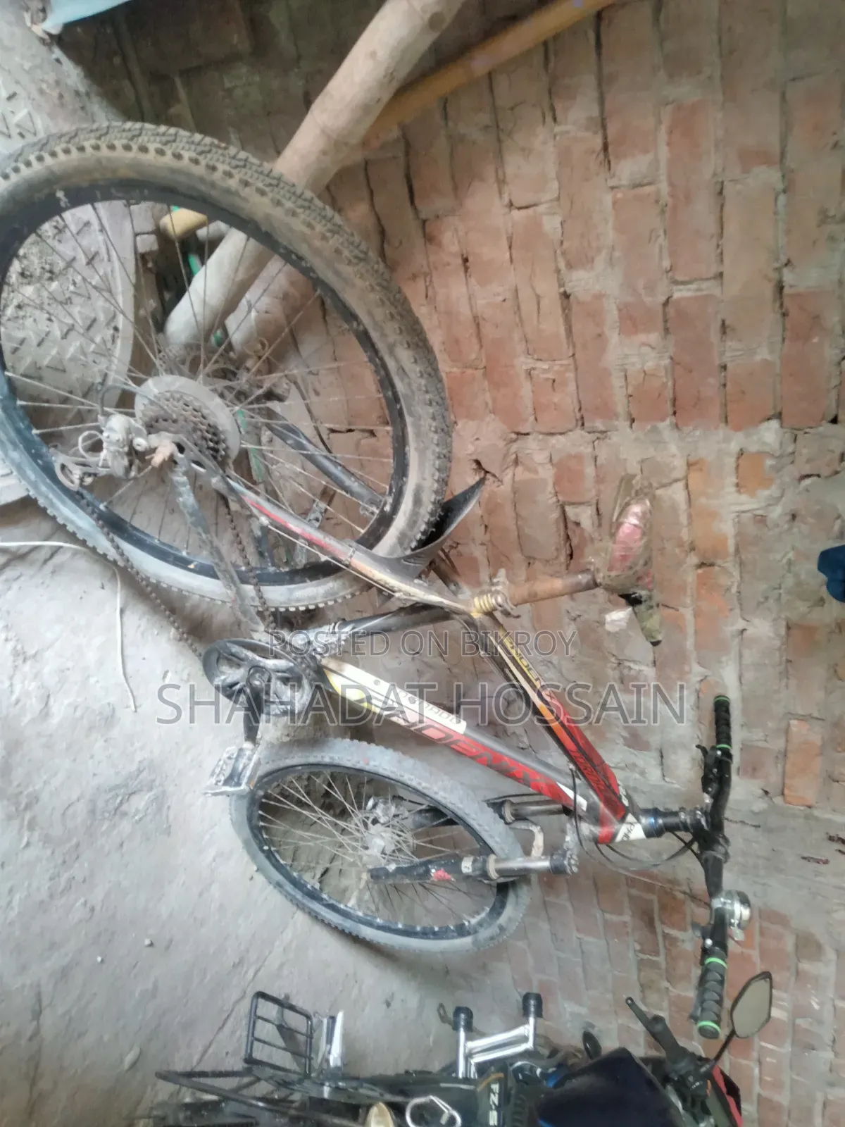 Bicycle for sale