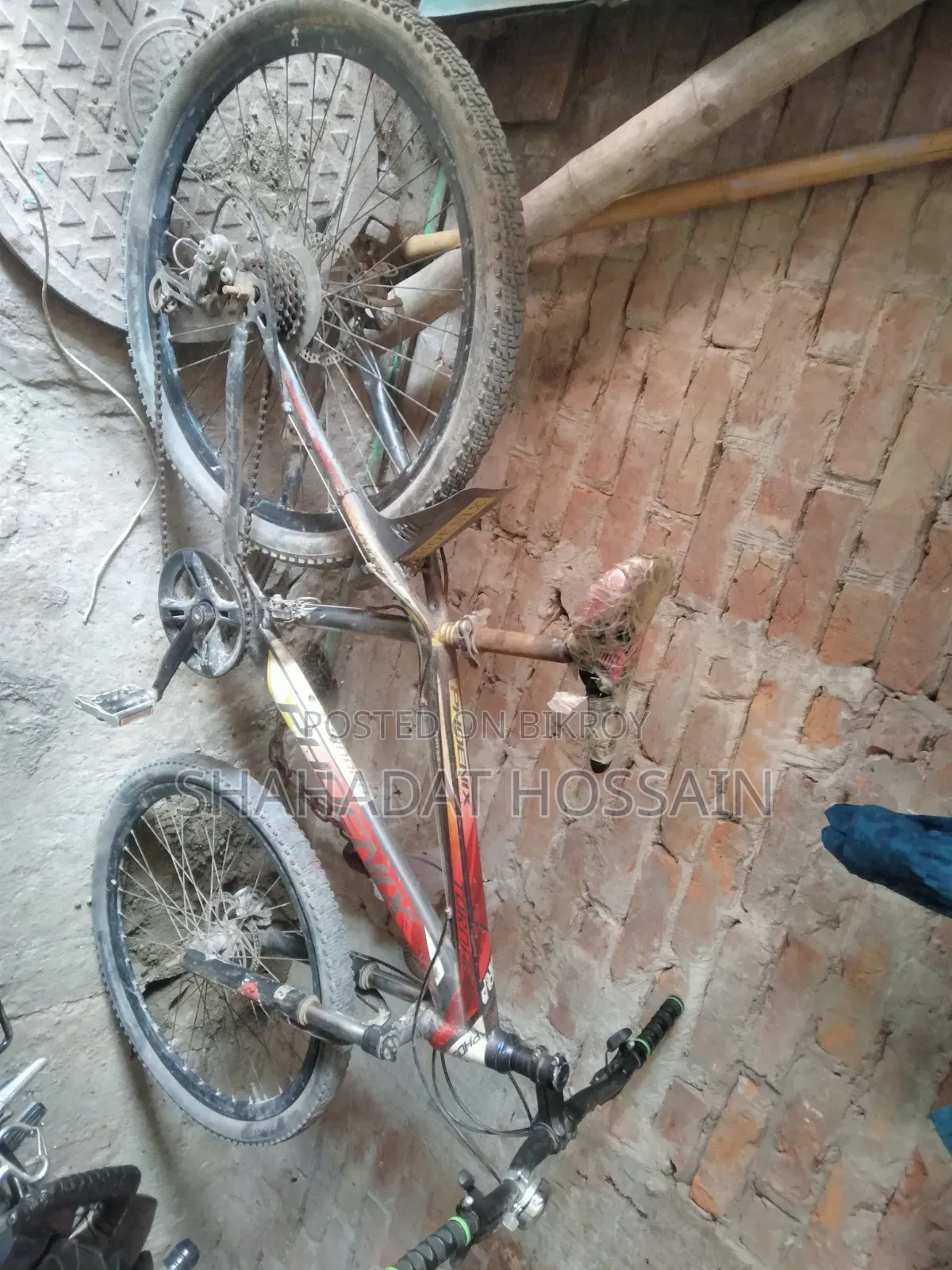 Bicycle for sale