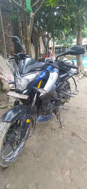 Bajaj Pulsar NS 160 2019 Blue