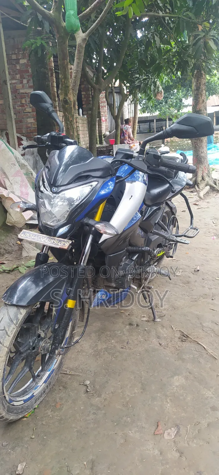 Bajaj Pulsar NS 160 2019 Blue