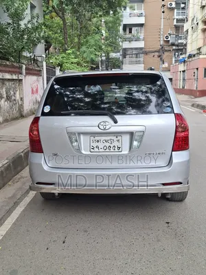 Toyota Corolla Fielder 2004 Silver