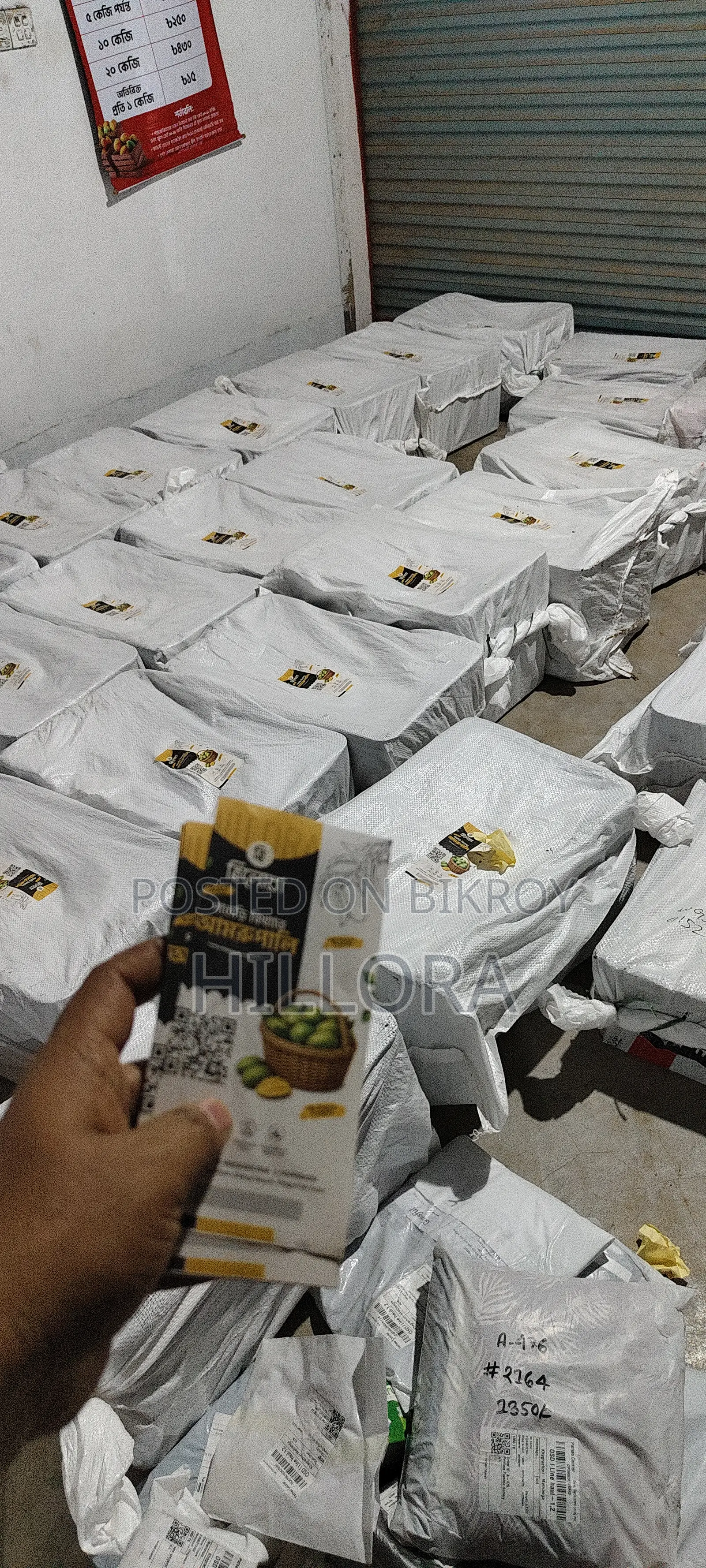 Khagrachari Hill Amrapali Mango | Amrapali Aam