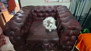 Premium Chesterfield Sofa!