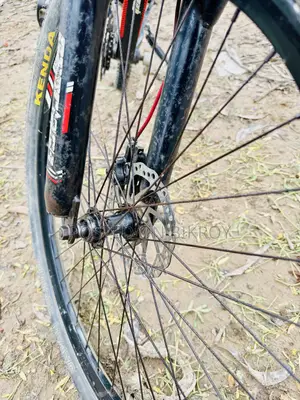 Peer-Less MTV Gear Cycle