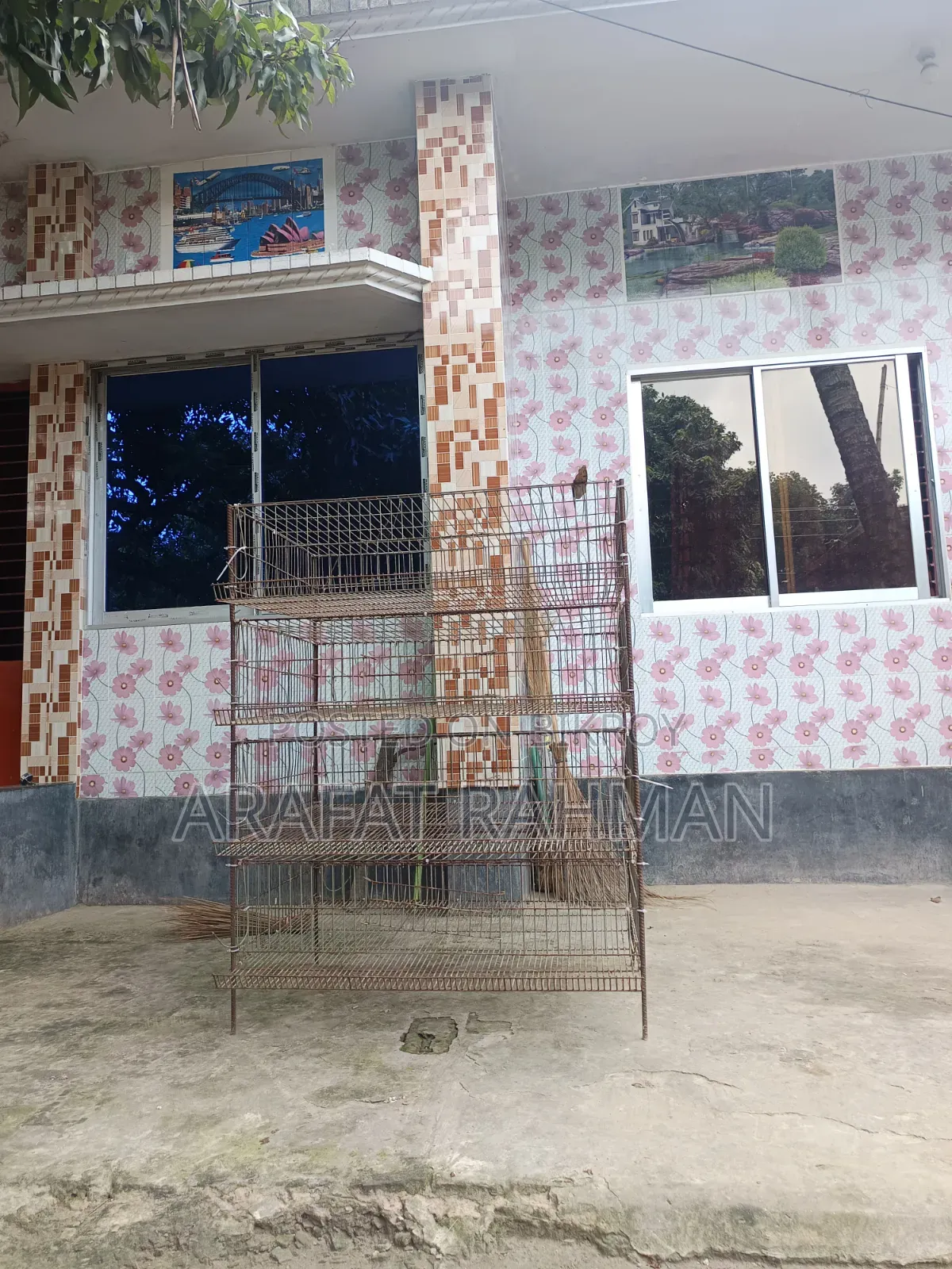 Quail Bird Cage