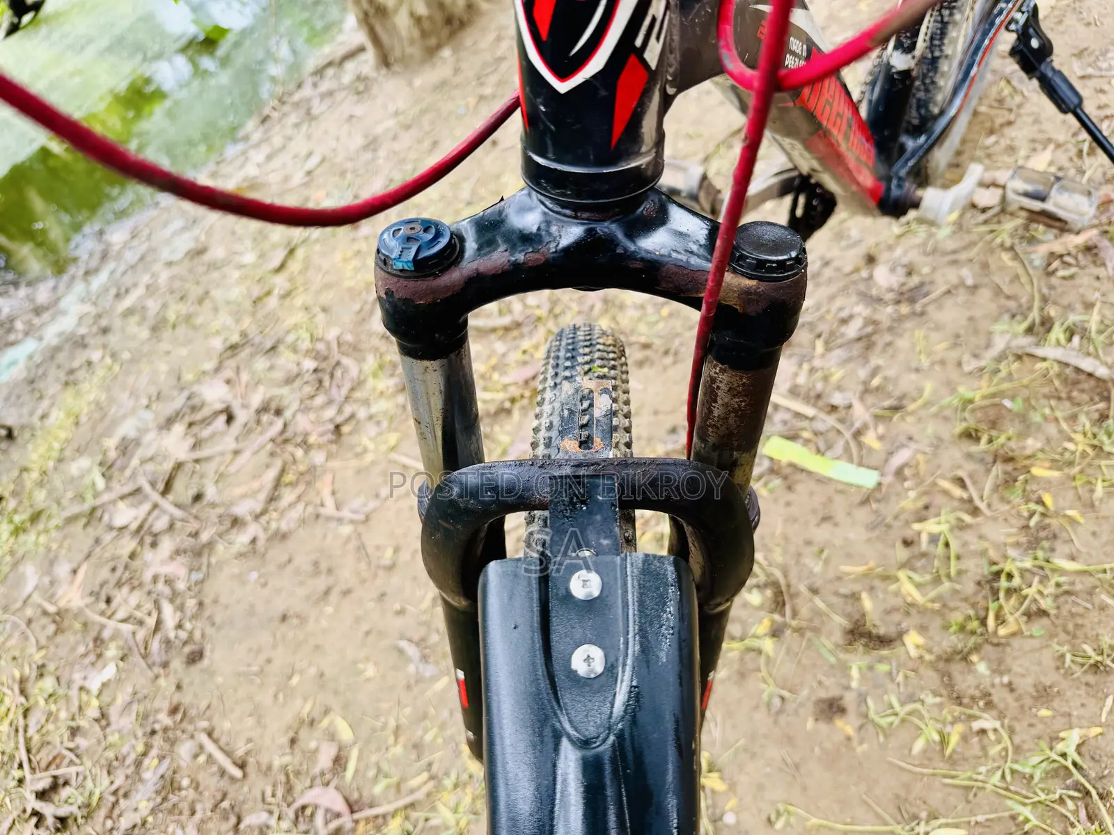 Peer-Less MTV Gear Cycle