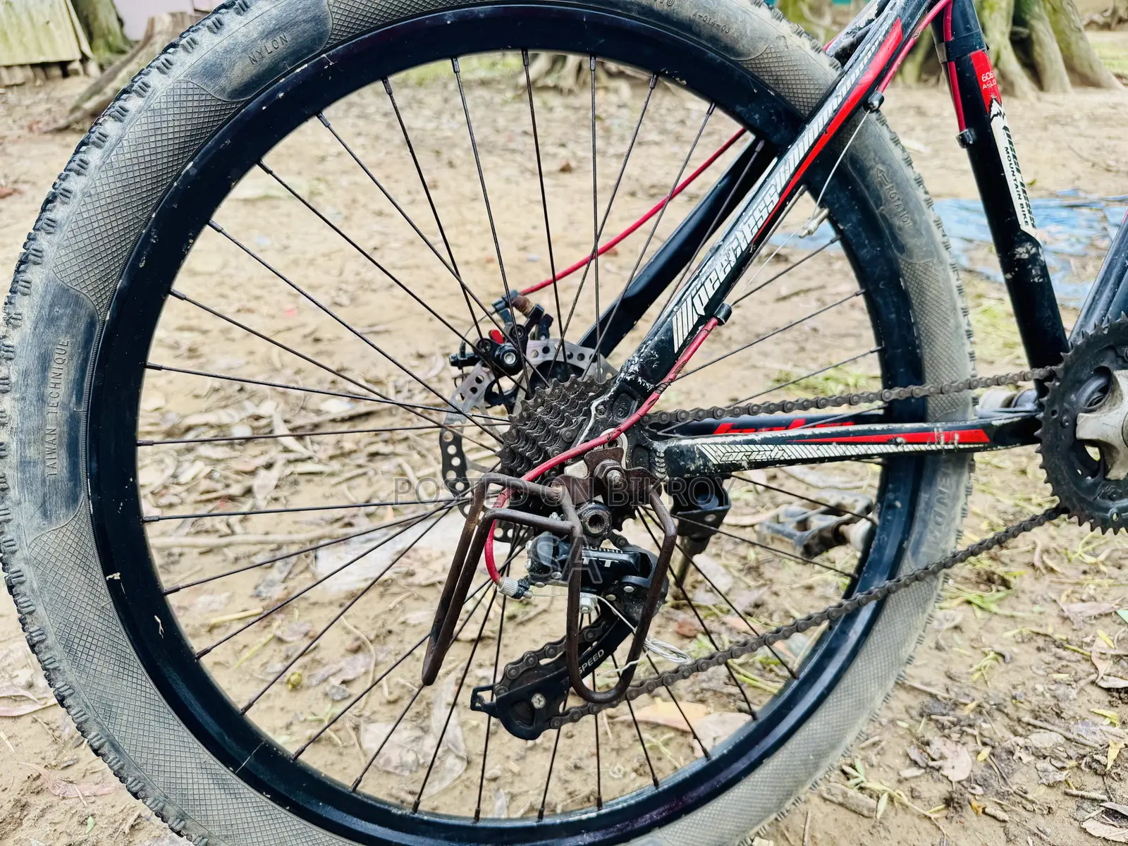 Peer-Less MTV Gear Cycle