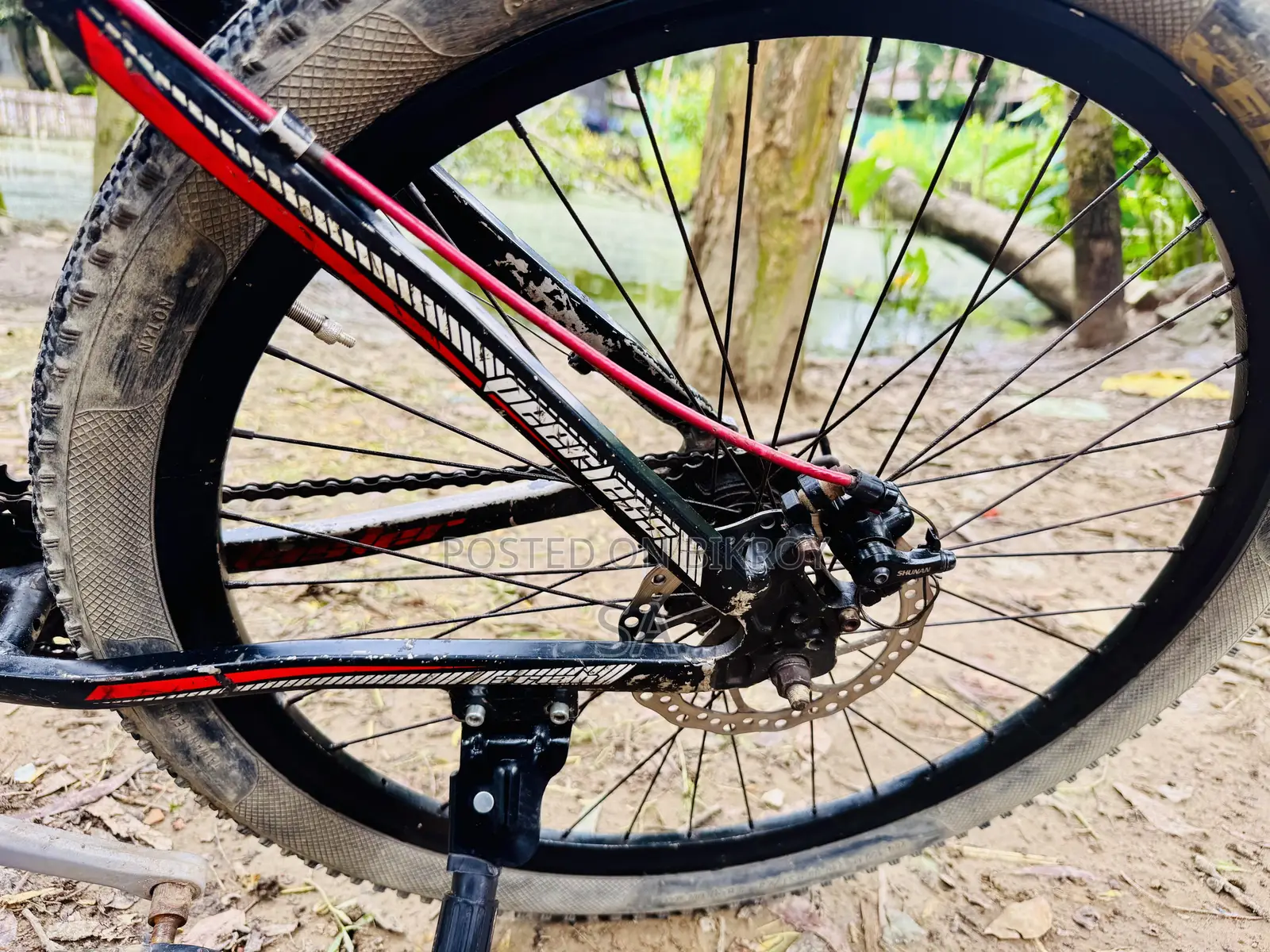 Peer-Less MTV Gear Cycle