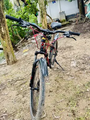 Peer-Less MTV Gear Cycle