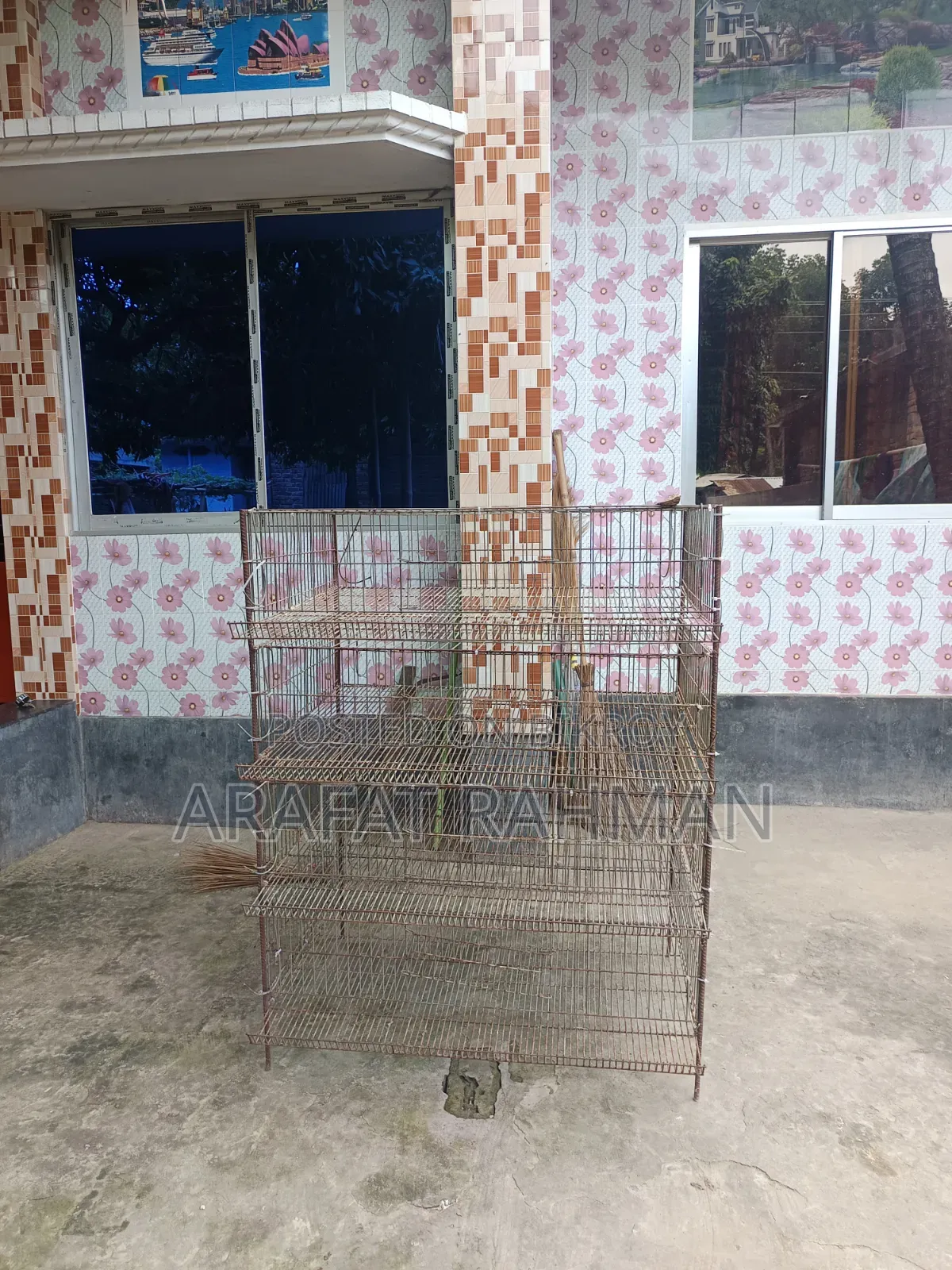 Quail Bird Cage