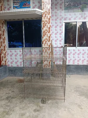 Quail Bird Cage