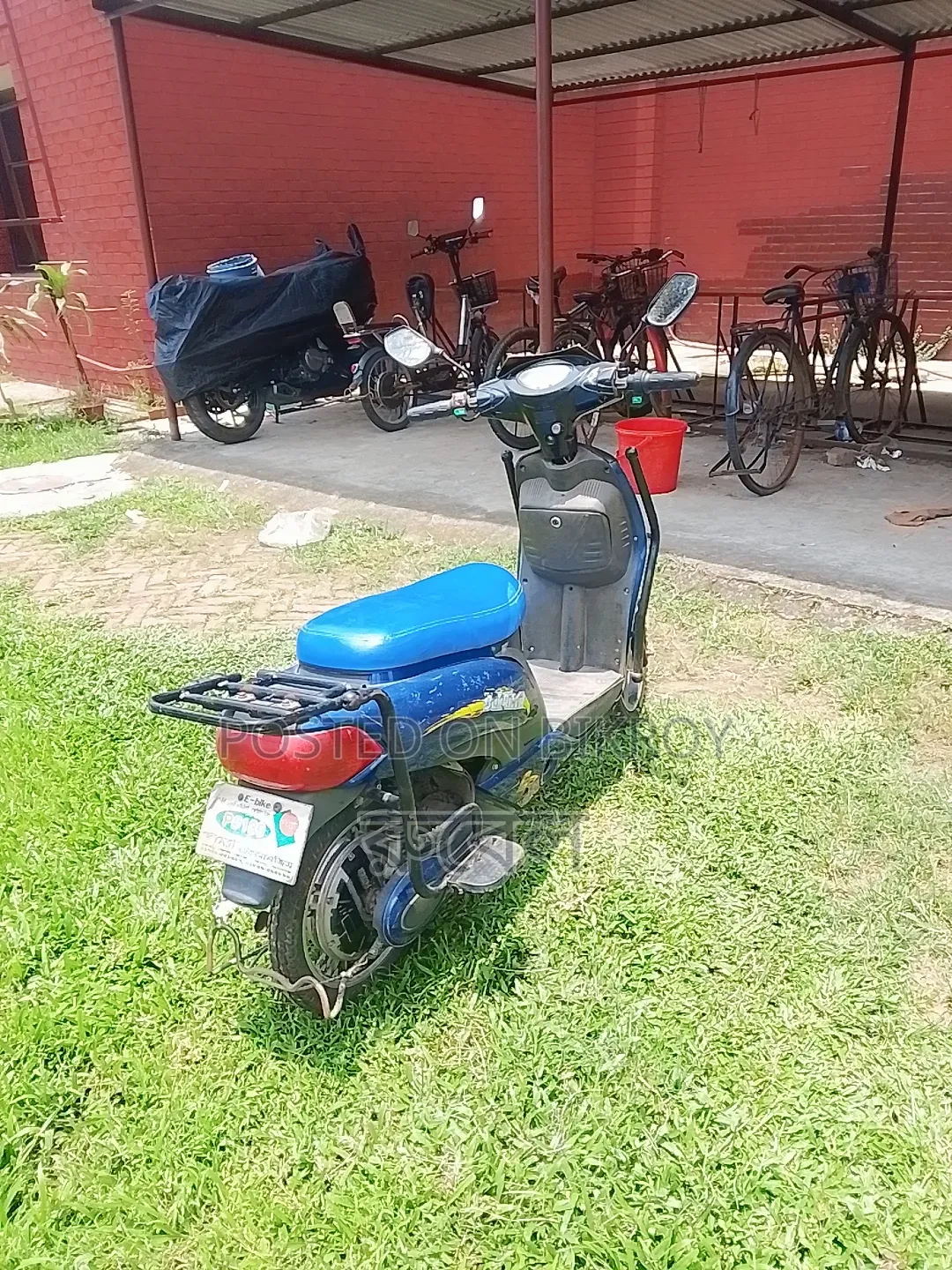 Captain CP175 2025 Blue