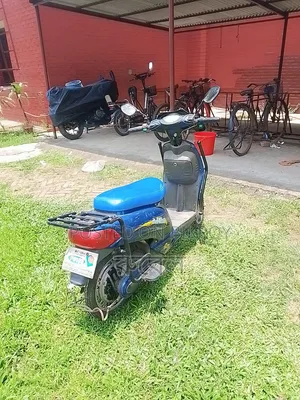 Captain CP175 2025 Blue