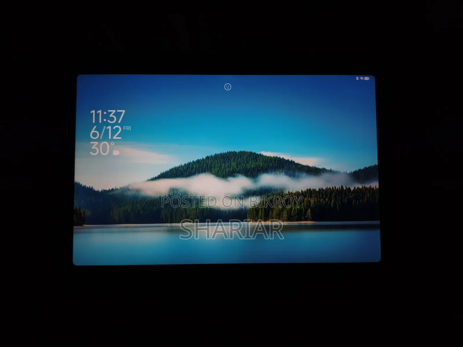 Xiaomi Redmi Pad Pro 256 GB Gray