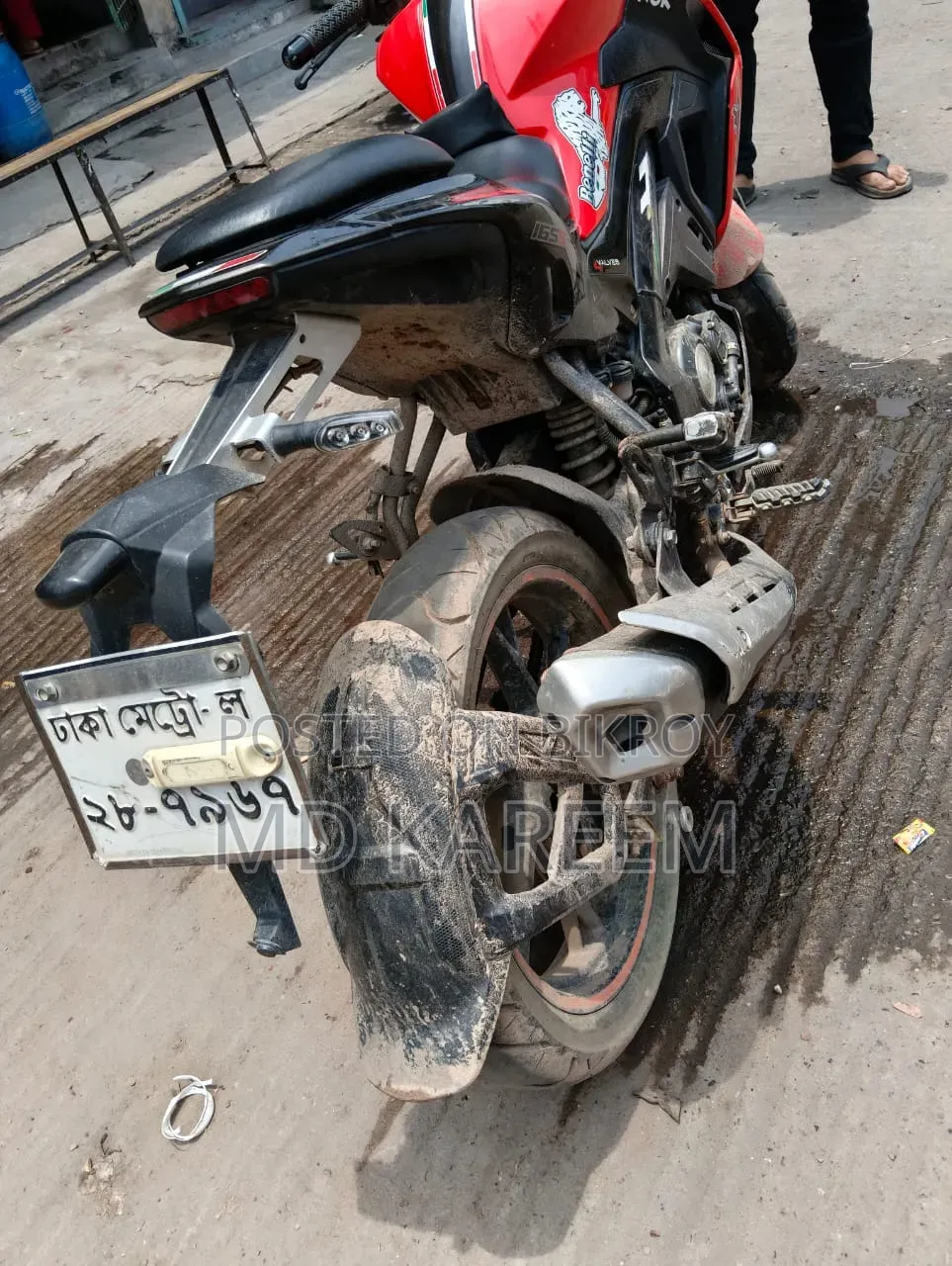 Benelli 2019 Red