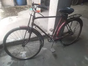 Bicycle Sales