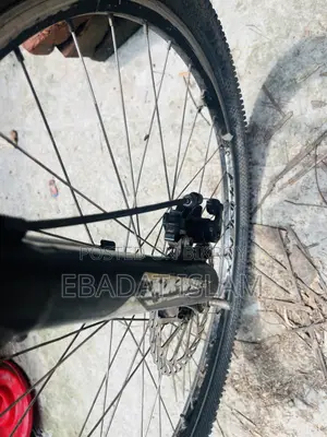 Phoenix Cycle for Sell