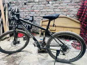 Phoenix Cycle for Sell