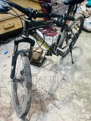 Phoenix Cycle for Sell