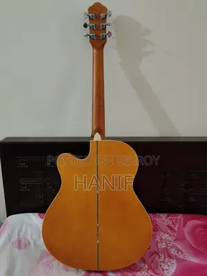 Acoustic Guitar (Smiger)