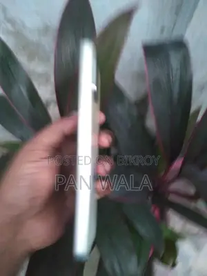 Oppo A38 128 GB Gold