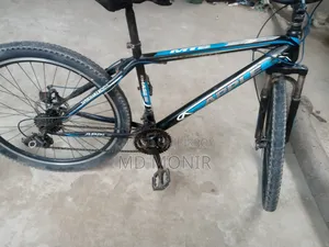 Running Bicycle