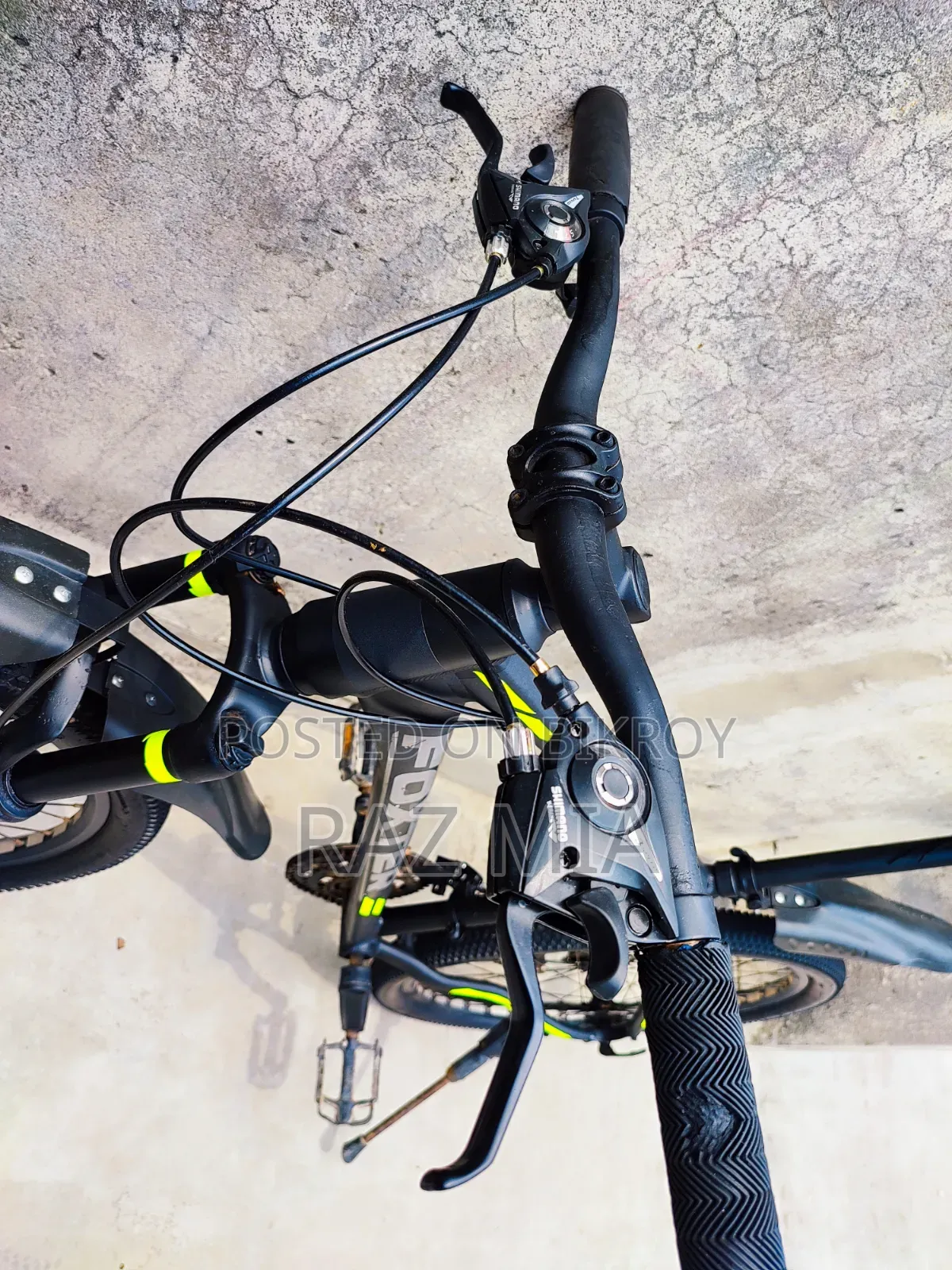 Foxter Gear Cycle