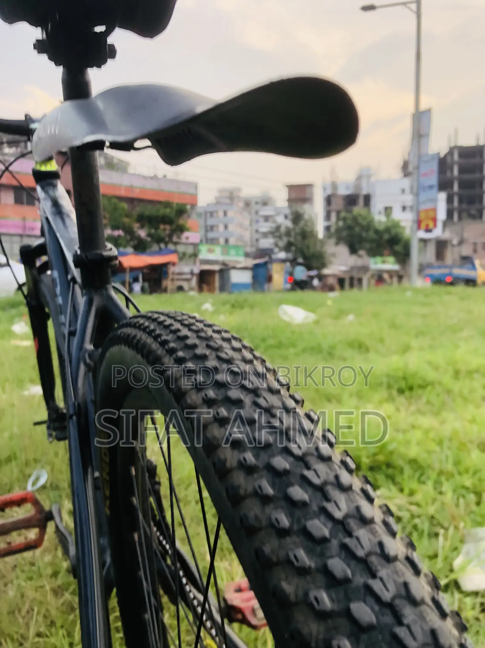 Phonix Cycle