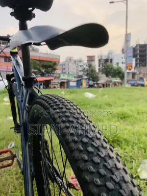 Phonix Cycle