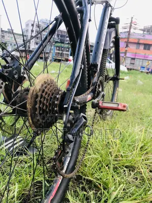 Phonix Cycle